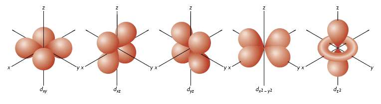 La rappresentazione della densità elettronica ψ associata alla funzione orbitale più semplice, che si indica con ψ s, si presenta come nella figura riportata a sinistra.