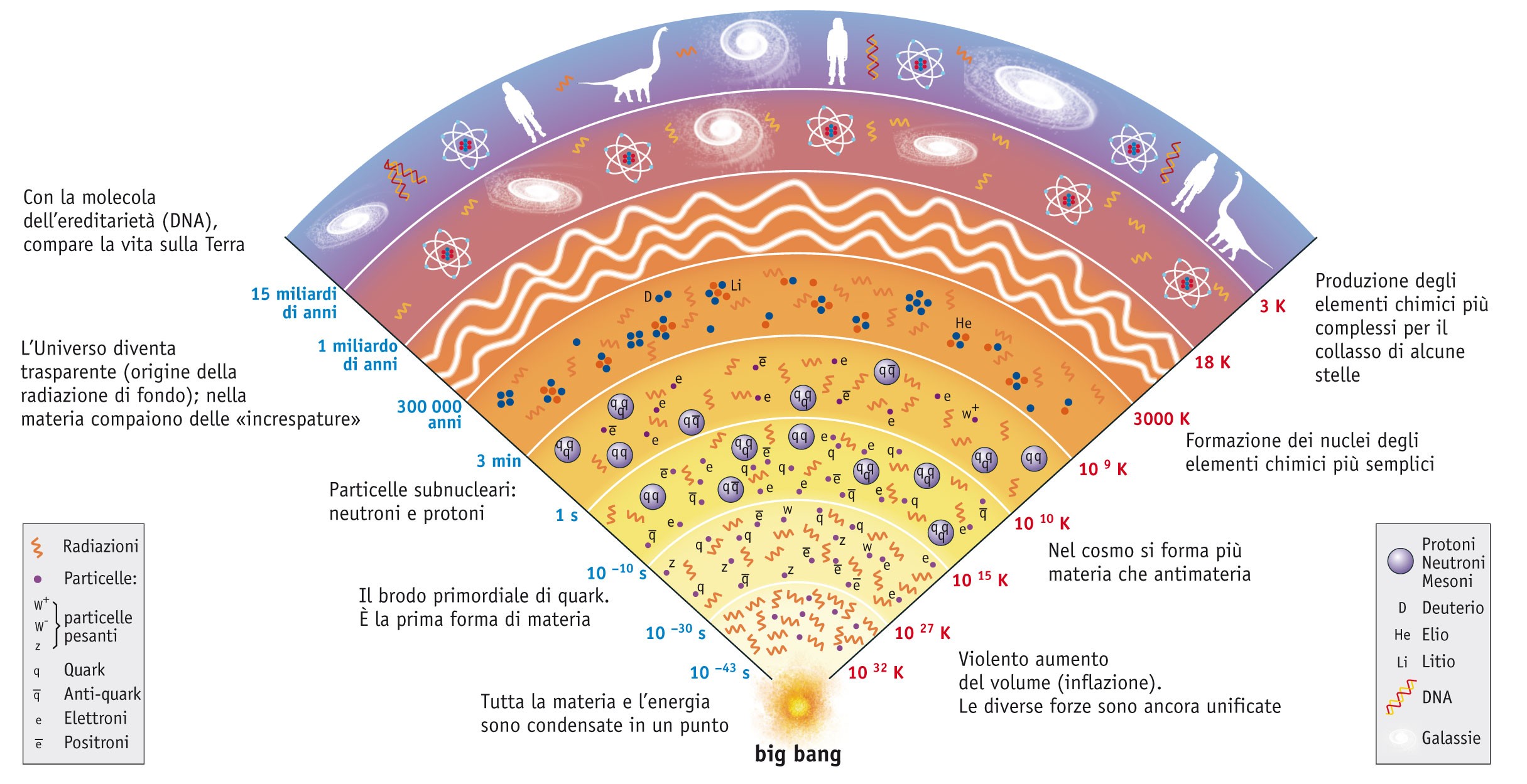 La posizione delle stelle Una rappresentazione schematica dell evoluzione