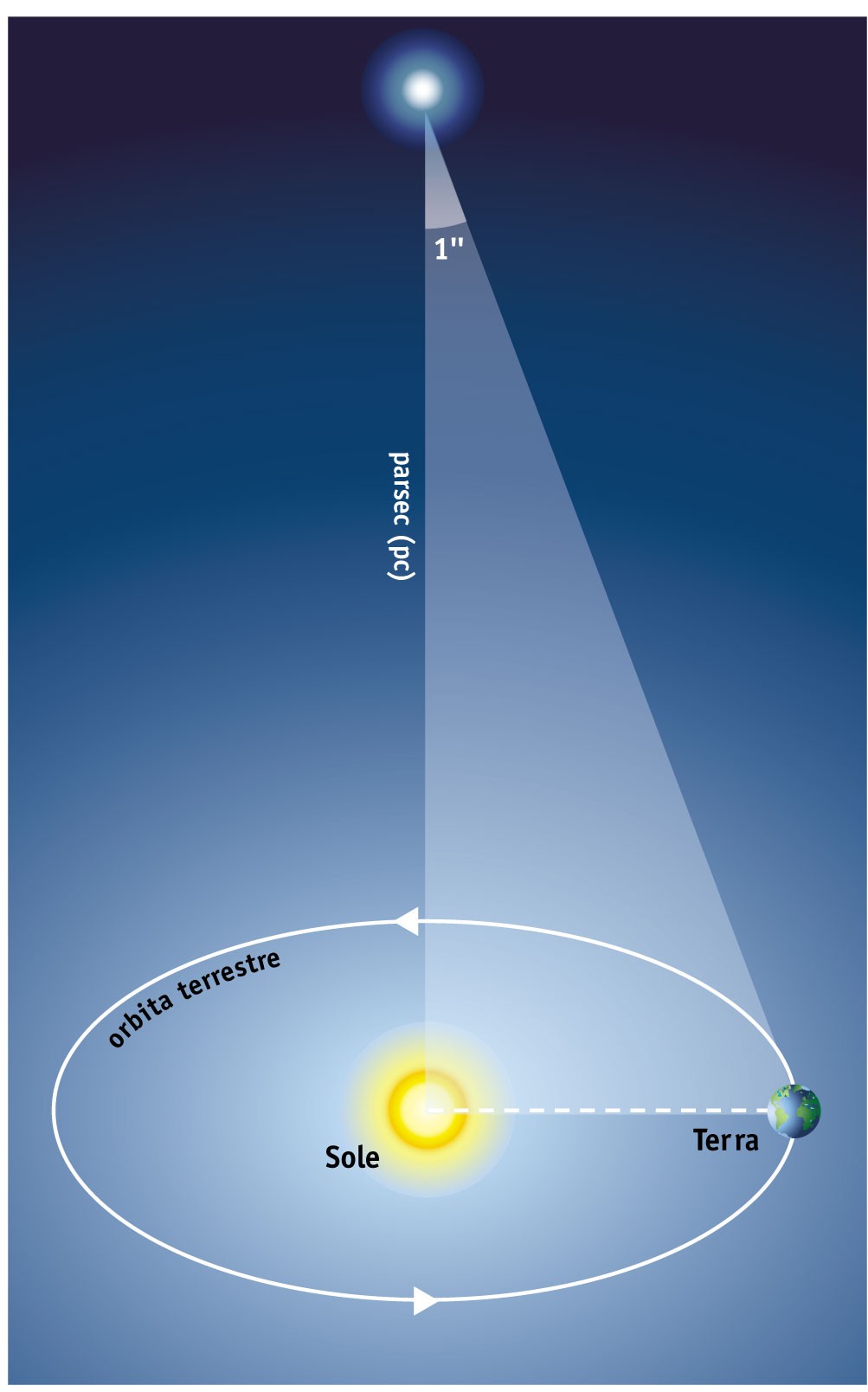 La posizione delle stelle Determinazione della parallasse nelle misure astronomiche.