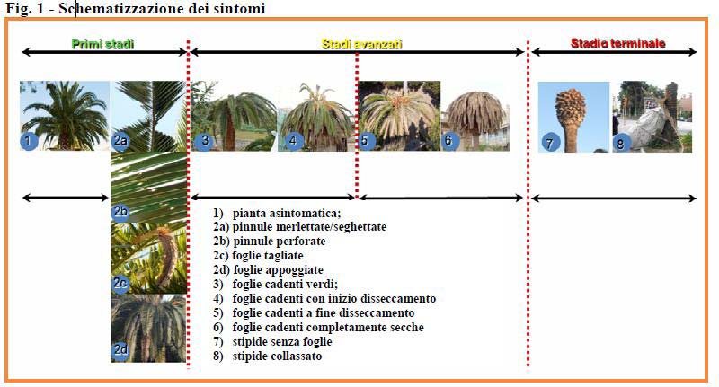 Bollettino Ufficiale della Regione