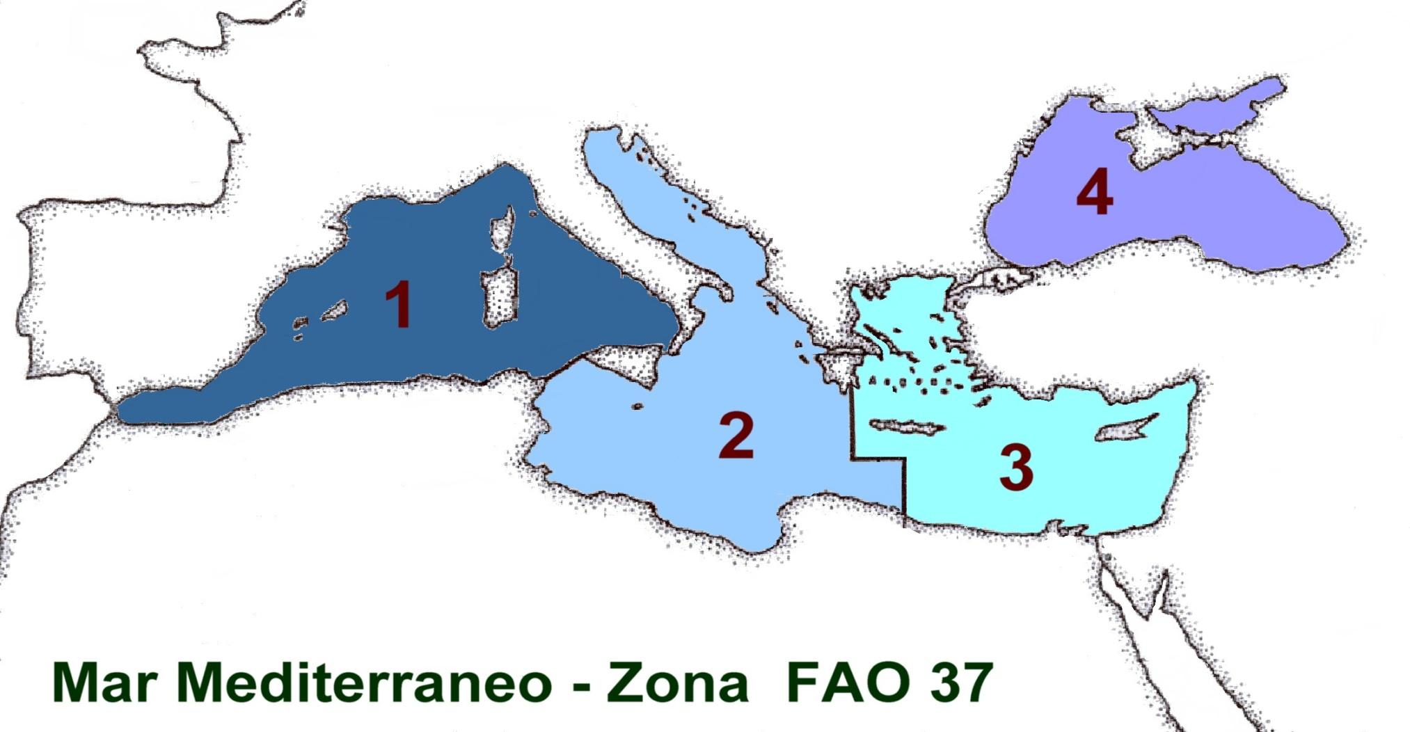 INDICAZIONE DELLE ZONE DI CATTURA Mar Mediterraneo (Sottozone)