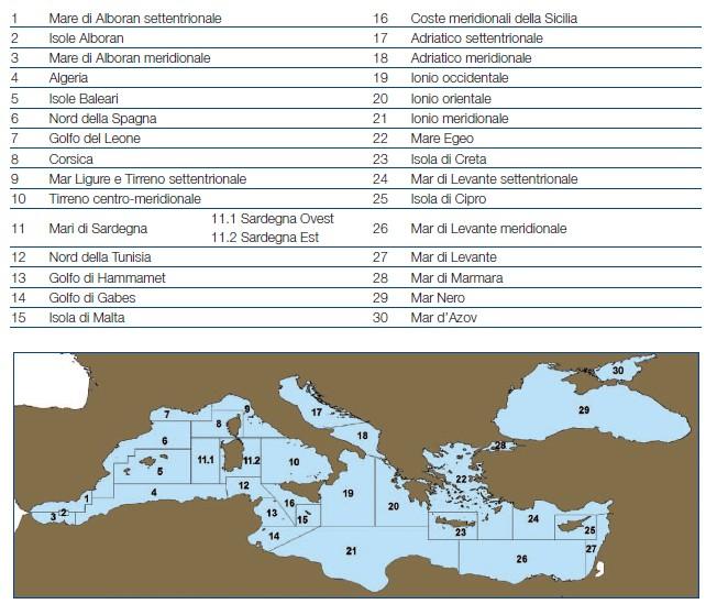 INDICAZIONE DELLE ZONE DI CATTURA Il Mar Mediterraneo è stato suddiviso in 30 sub-aree geografiche