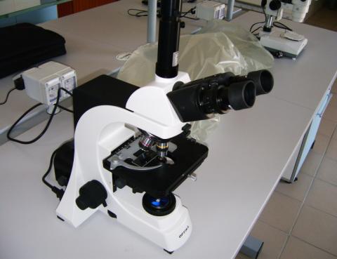 Il laboratorio Il laboratorio è stato arredato con banchi da lavoro, microscopi, pc, autoclavi, cella frigo ed altri accessori.