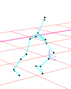 Il modello utilizzato prevedeva 15 markers così posizionati: 2 sulle spalle Colonna vertebrale: C7 T6 L5 Arto inferiore: Trocantere Ginocchio (condilo laterale) Malleolo laterale Tallone Alluce