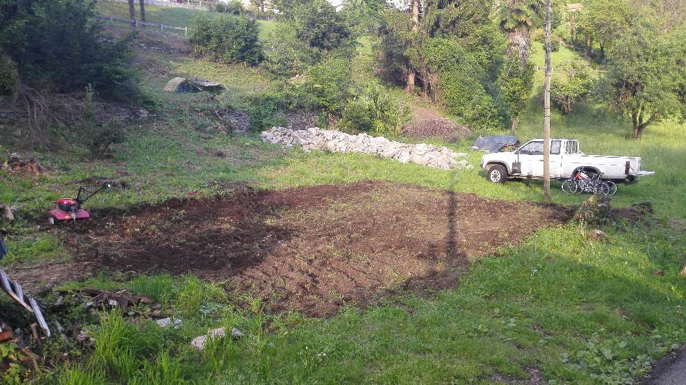 raccolto Vanzone con San Carlo Roletto 30 giugno 15 luglio 16 agosto 15 settembre Crodo 11 maggio 20 maggio n/d 15 settembre Epoca di semina: metà febbraio/fine marzo nel Centro/Sud, fine marzo/metà