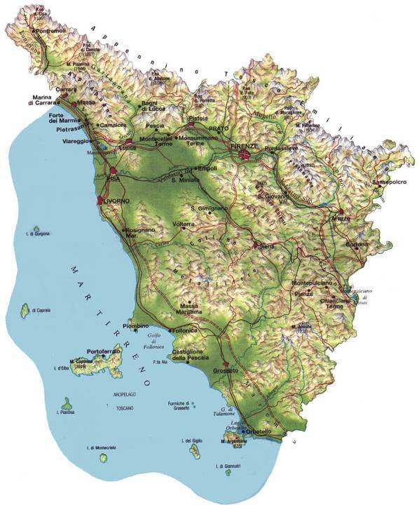 principali pinete di pino domestico della Toscana, vale a dire nel Parco Naturale della Maremma (provincia di Grosseto) e nel Parco di Migliarino-San Rossore-Massaciuccoli (provincia di Pisa).