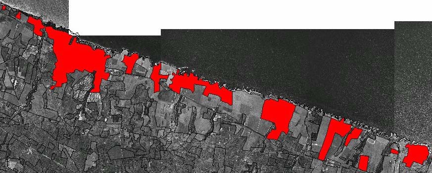 Estensione lineare del sistema costiero (km) 15,5 Superficie urbanizzata lungo la costa Considerando complessivamente l area tra la linea di costa e la S.S. n.