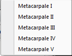 Pulsante Metacarpo In seguito alla pressione del pulsante Metacarpo viene mostrato il menu di Figura 7.