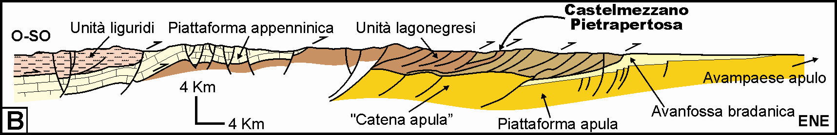 Premessa La Catena Appenninica La Catena appenninica costituisce un orogene a pieghe e thrust, originatosi a partire dall Oligocene superiore-miocene inferiore a causa della deformazione compressiva