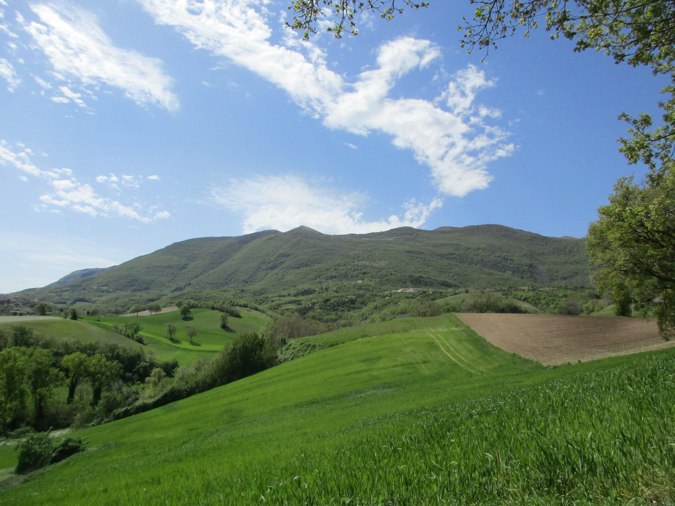 AGRITURISMO IL CASATO