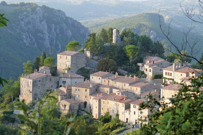 cavità all interno di grossi alberi, in grado di offrire un maggiore isolamento termico.