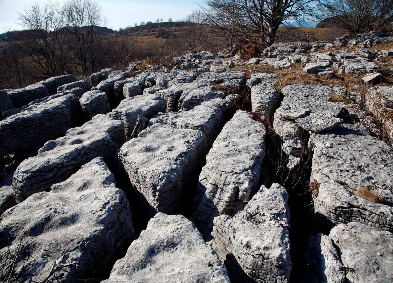 Infiltrazione concentrata In rocce carbonatiche l infiltrazione -e la dissoluzione- avvengono