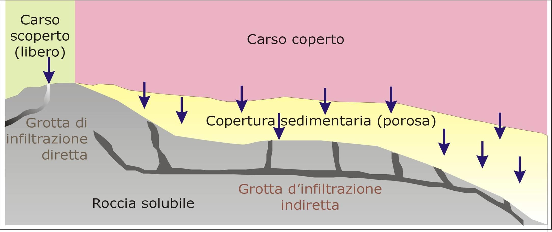 Infiltrazione diffusa dove le rocce carbonatiche sono coperte da uno strato permeabile (un suolo, uno strato di sabbia) l infiltrazione avviene diffusamente attraverso questo strato.