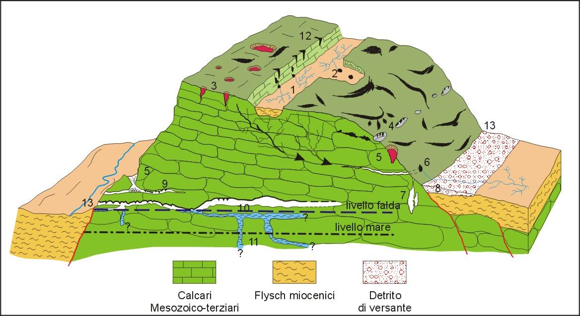 Grotte a prevalente sviluppo verticale Zona vadosa