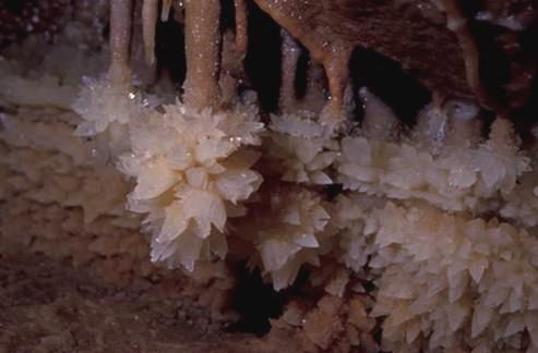 I DEPOSITI CHIMICI I depositi chimici di grotta vengono chiamati genericamente SPELEOTEMI (forme di grotta).