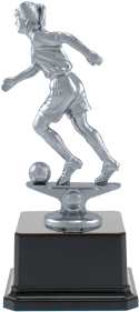 CALCIO SOCCER 14.491 h 50 ø 16 56,40 14.492 h 45 ø 15 50,40 14.493 h 40 ø 14 44,40 metal 14.501 h 18 15,60 14.502 h 17 22,50 14.503 h 12 11,70 14.504 h 10 7,50 14.505 h 8 5,40 14.506 h 16 7,80 14.