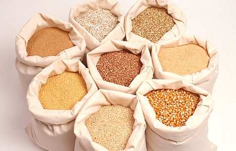 III Gruppo Cereali e Tuberi Principali nutrienti forniti: zuccheri complessi vitamine del gruppo B fibra alimentare proteine a basso valore