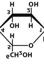 CELLULSA: polisaccaride lineare costituito da unità di D-glucosio unite da legami -glucosidici β-(1 4).