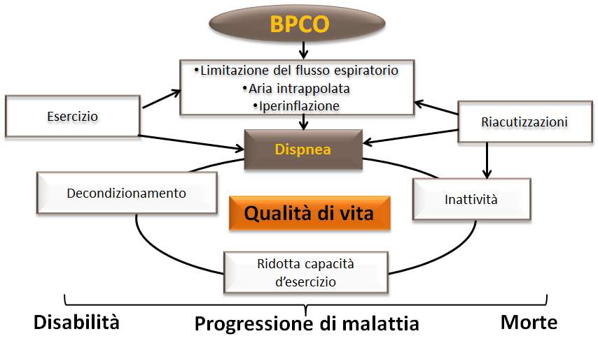 La BPCO porta alla limitazione del flusso espiratorio I