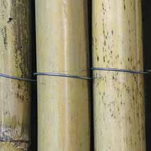 Stuoie canna napoletana intera Ø mm 25/30 Peeled Jungle Reed screen Naples in big Ø 25/30 mm art. misura cm colore pz x imballo pezzo 40693 200x300 naturale 1 48,00 art.