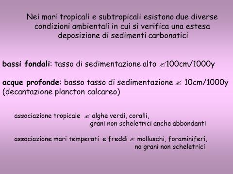 Non tutta la calcite spatica è il vero e proprio cemento che si è formato per precipitazione diretta in pori o altre cavità.