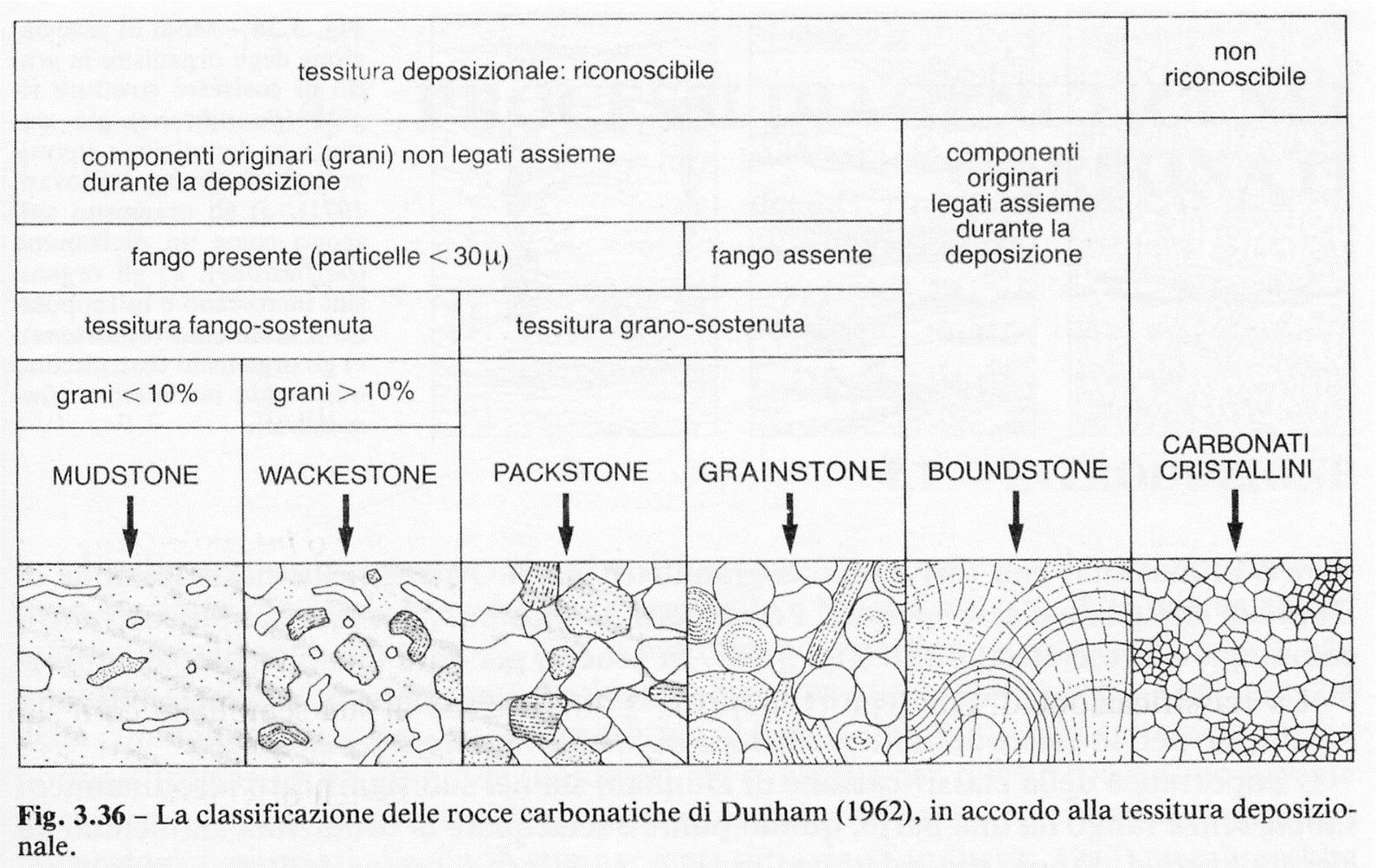 Tre le grosse suddivisioni: calcari fango-sostenuti (matrix-supported) (PS per Dunham la micrite ha dimensioni <20 um), grano-sostenuti (grain-supported) e apparato biologico (biologically bound).