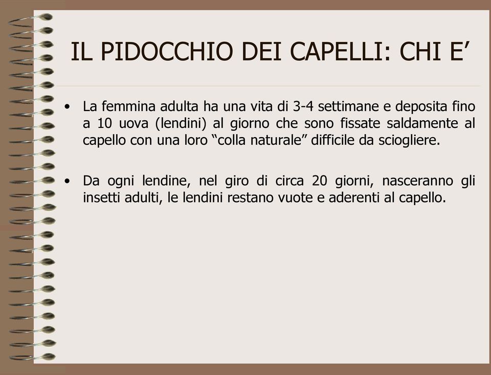 con una loro colla naturale difficile da sciogliere.