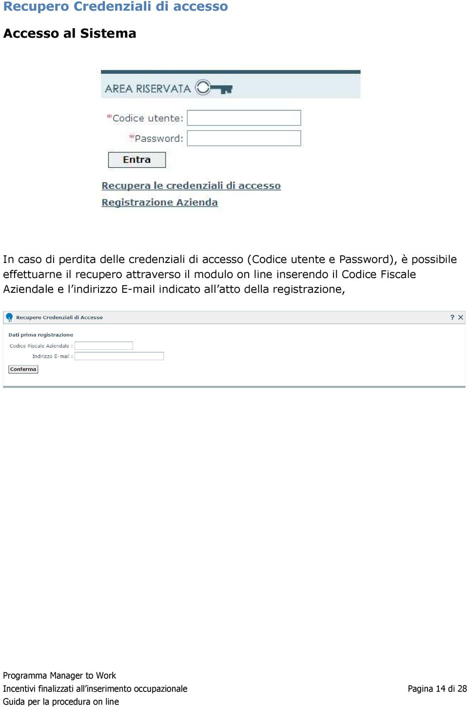 modulo on line inserendo il Codice Fiscale Aziendale e l indirizzo E-mail indicato all