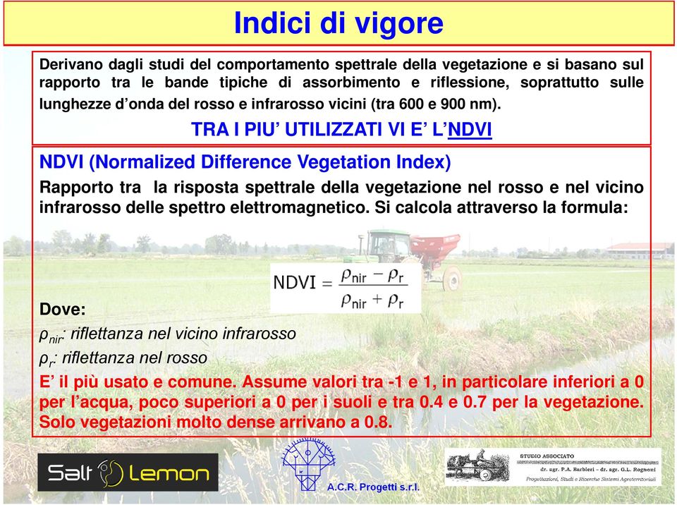 TRA I PIU UTILIZZATI VI E L NDVI NDVI (Normalized Difference Vegetation Index) Rapporto tra la risposta spettrale della vegetazione nel rosso e nel vicino infrarosso delle spettro