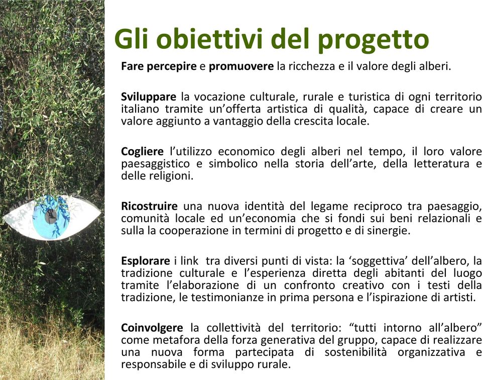 Cogliere l utilizzo economico degli alberi nel tempo, il loro valore paesaggistico e simbolico nella storia dell arte, della letteratura e delle religioni.