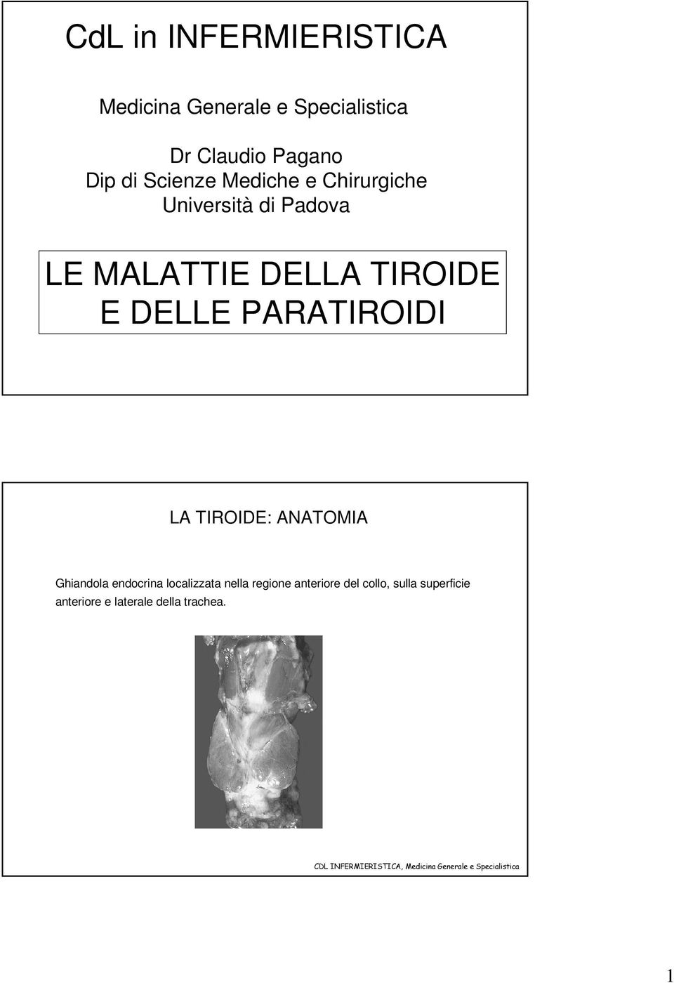 E DELLE PARATIROIDI LA TIROIDE: ANATOMIA Ghiandola endocrina localizzata nella