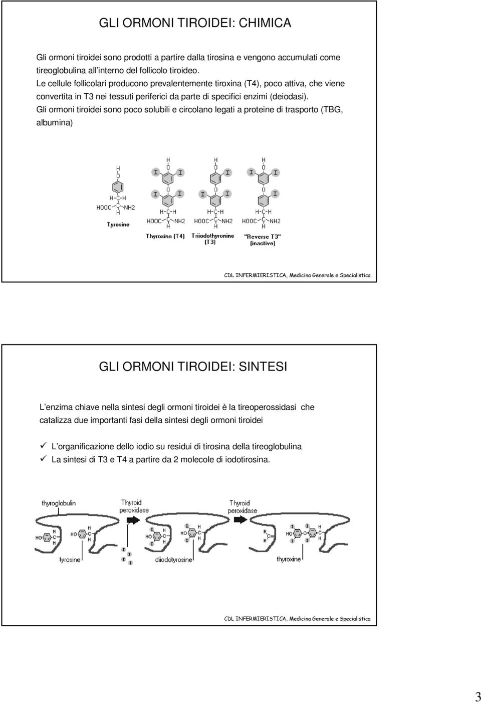 Gli ormoni tiroidei sono poco solubili e circolano legati a proteine di trasporto (TBG, albumina) GLI ORMONI TIROIDEI: SINTESI L enzima chiave nella sintesi degli ormoni tiroidei è la