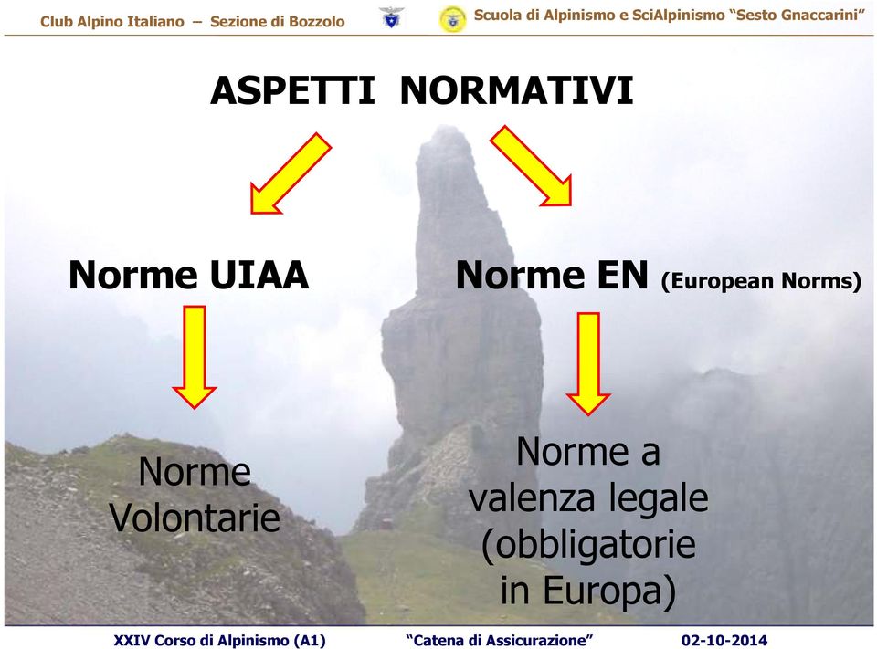 Norme Volontarie Norme a