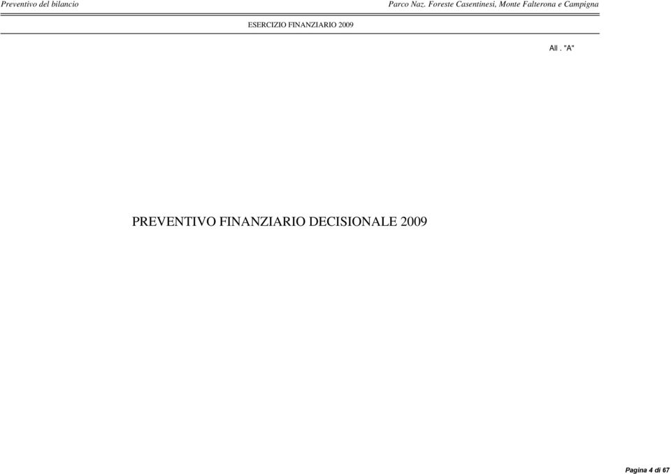 Campigna ESERCIZIO FINANZIARIO 29