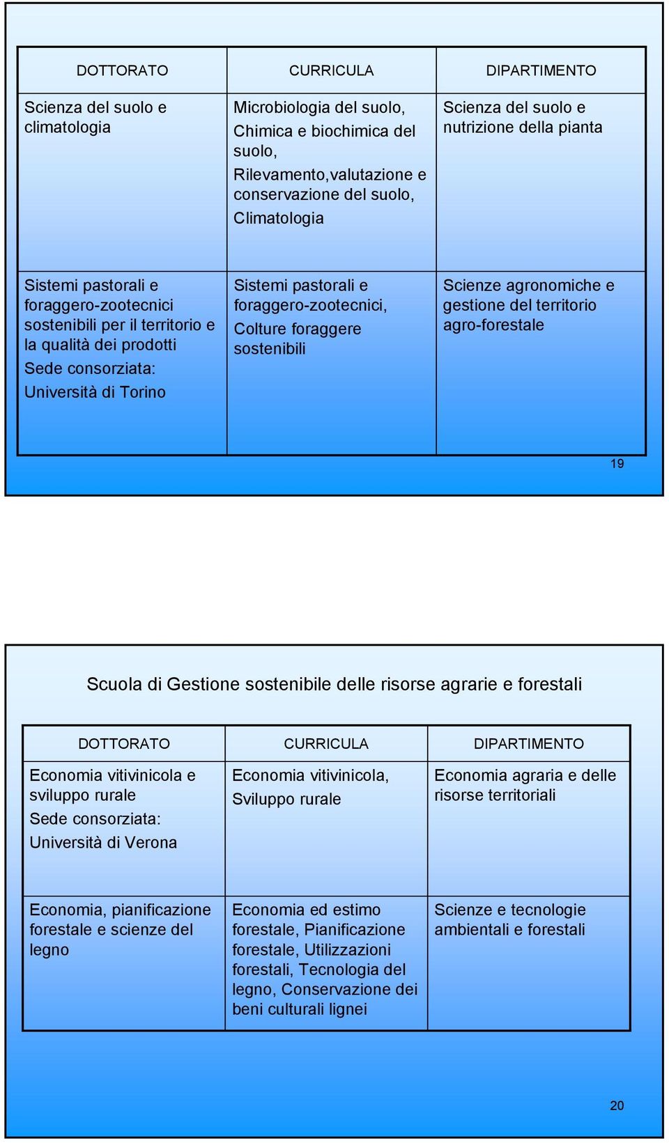 foraggere sostenibili Scienze agronomiche e gestione del territorio agro-forestale 19 Scuola di Gestione sostenibile delle risorse agrarie e forestali DOTTORATO Economia vitivinicola e sviluppo