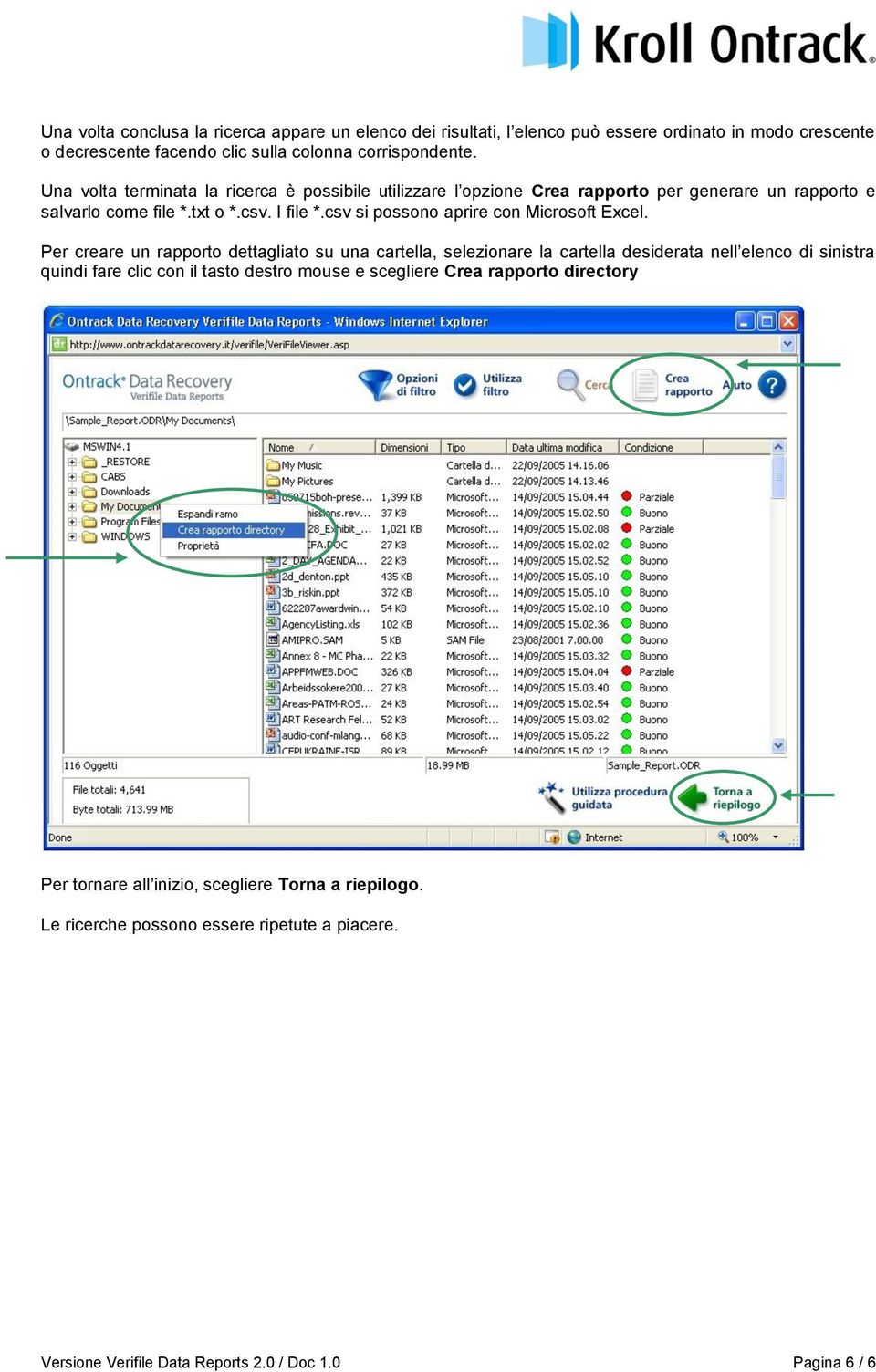 csv si possono aprire con Microsoft Excel.