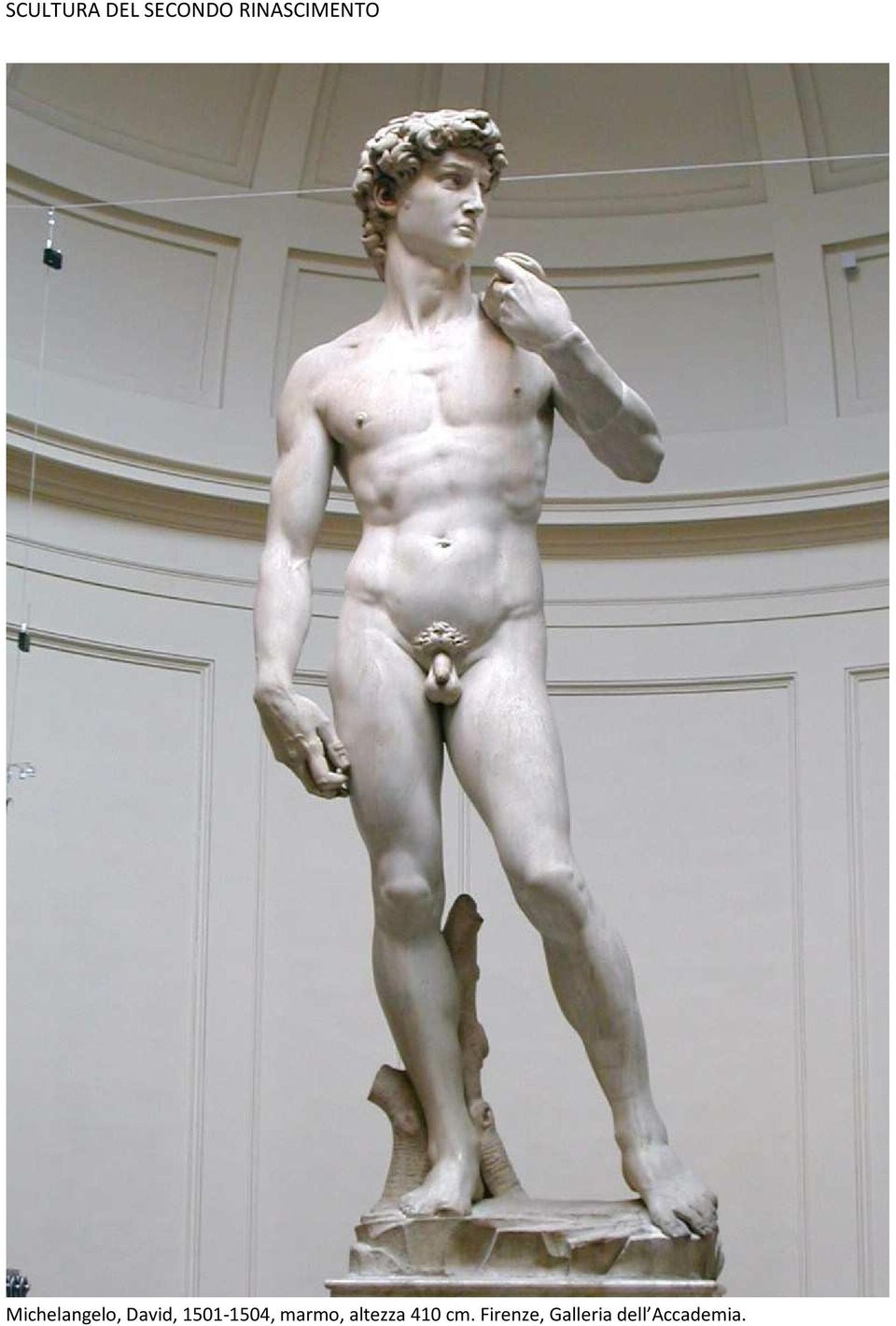 David, 1501-1504, marmo,