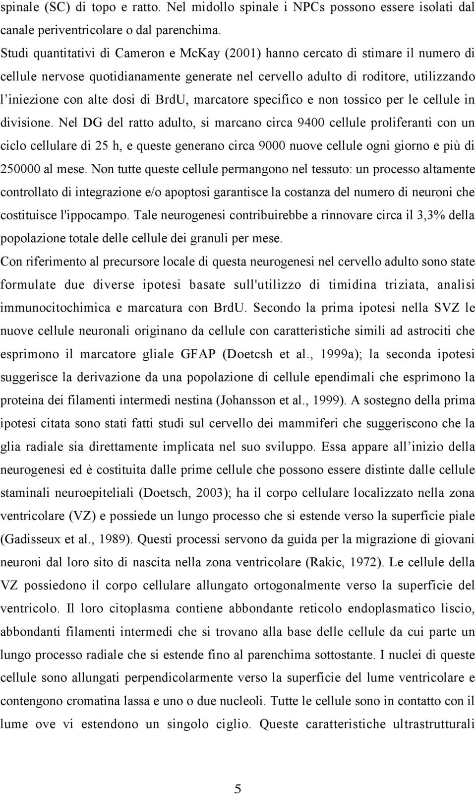 BrdU, marcatore specifico e non tossico per le cellule in divisione.