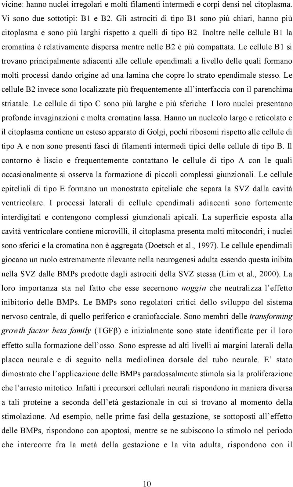 Inoltre nelle cellule B1 la cromatina è relativamente dispersa mentre nelle B2 è più compattata.