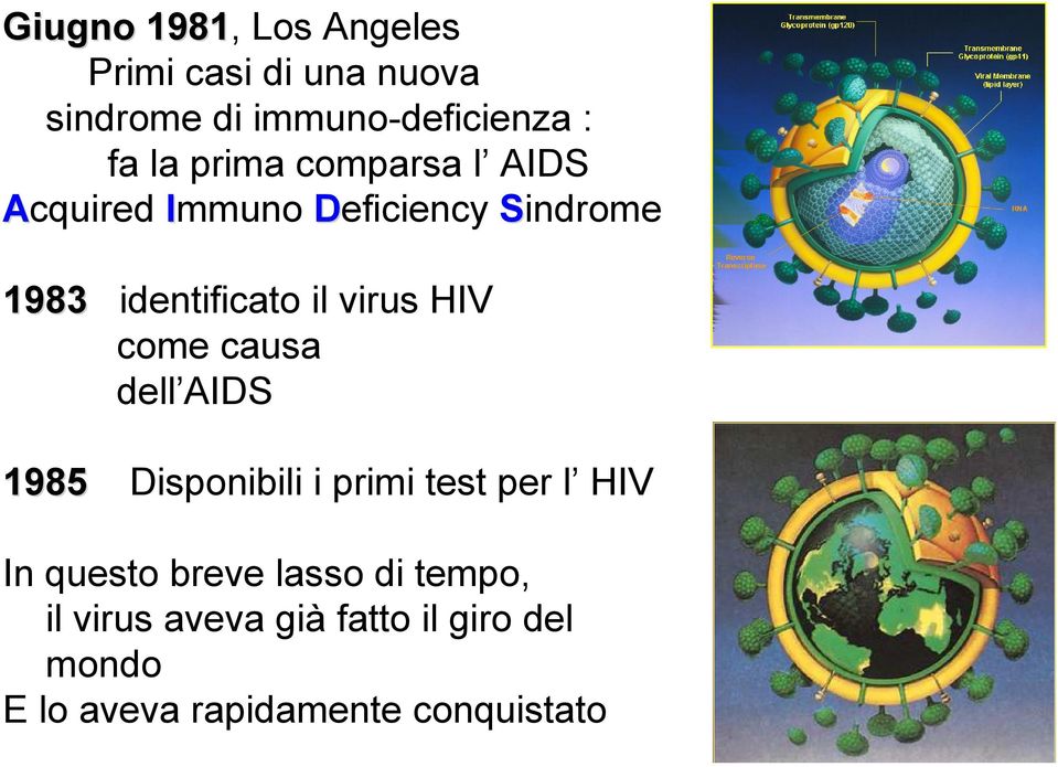HIV come causa dell AIDS 1985 Disponibili i primi test per l HIV In questo breve lasso