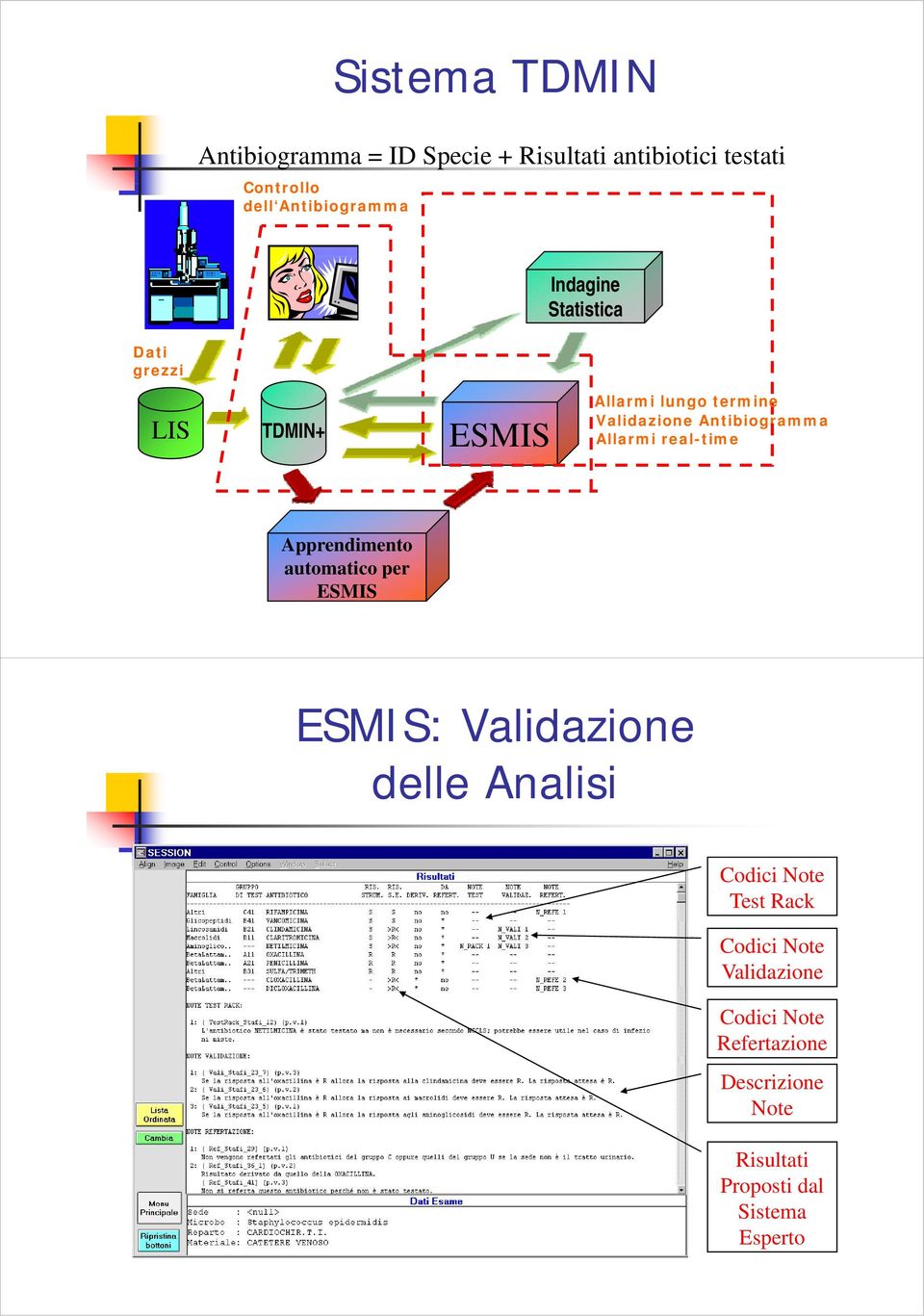 Allarmi real-time Apprendimento automatico per ESMIS ESMIS: Validazione delle Analisi i Codici Note