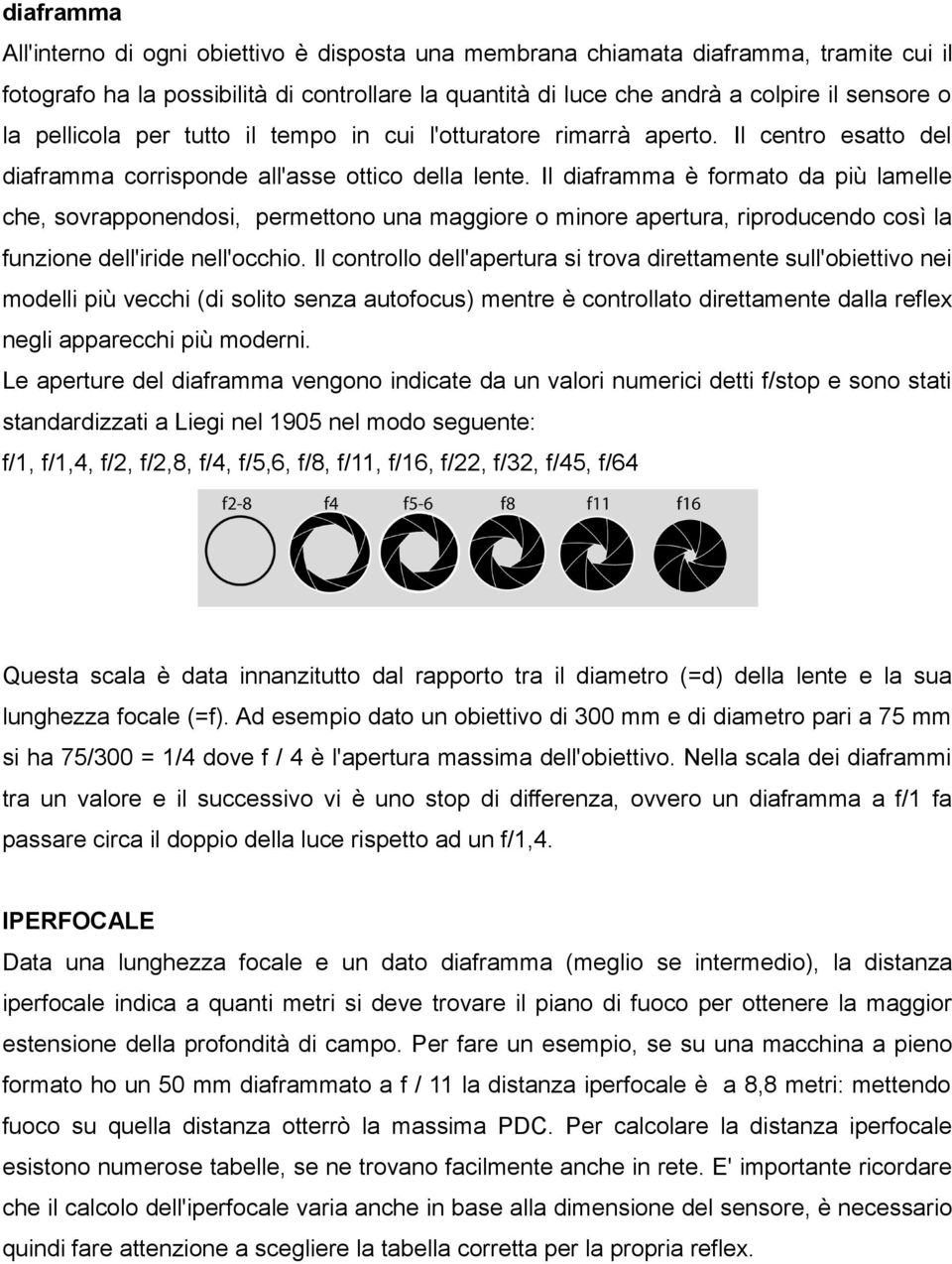 Il diaframma è formato da più lamelle che, sovrapponendosi, permettono una maggiore o minore apertura, riproducendo così la funzione dell'iride nell'occhio.