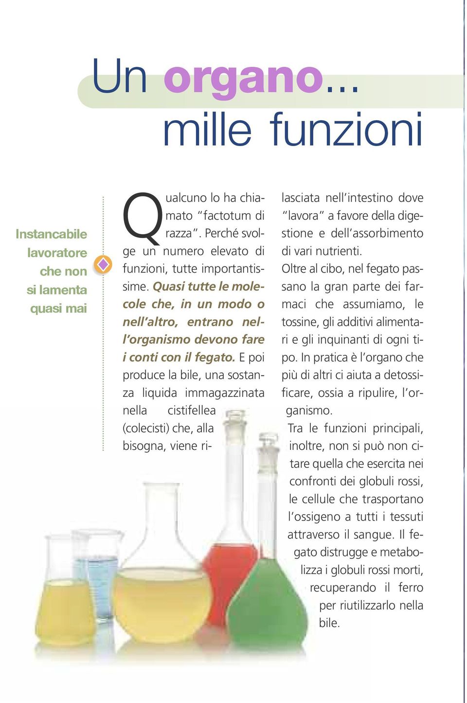 E poi produce la bile, una sostanza liquida immagazzinata nella cistifellea (colecisti) che, alla bisogna, viene rilasciata nell intestino dove lavora a favore della digestione e dell assorbimento di