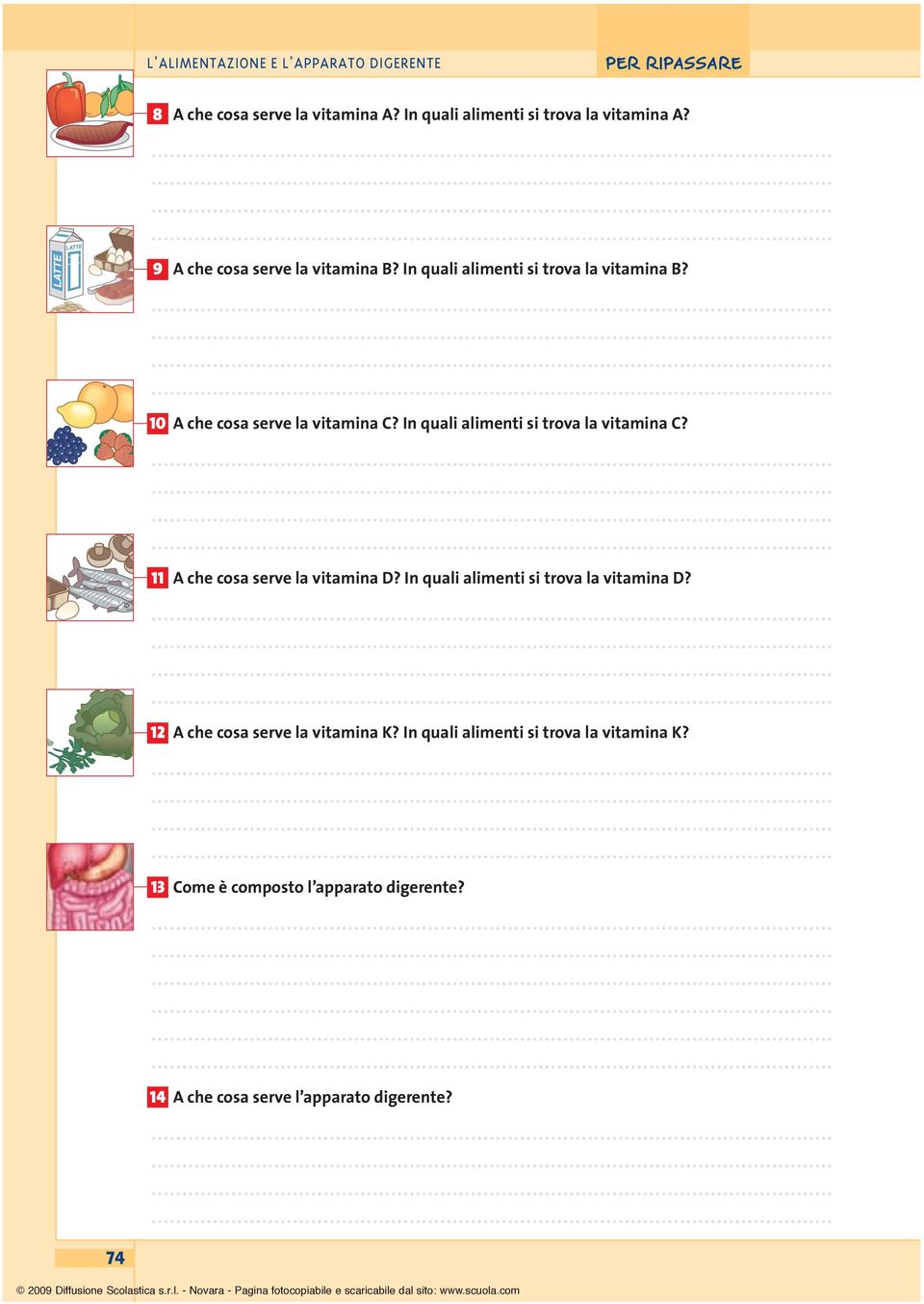 In quali alimenti si trova la vitamina C? 11 A che cosa serve la vitamina D? In quali alimenti si trova la vitamina D?