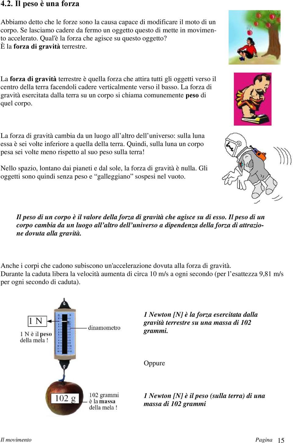 La forza di gravità terrestre è quella forza che attira tutti gli oggetti verso il centro della terra facendoli cadere verticalmente verso il basso.