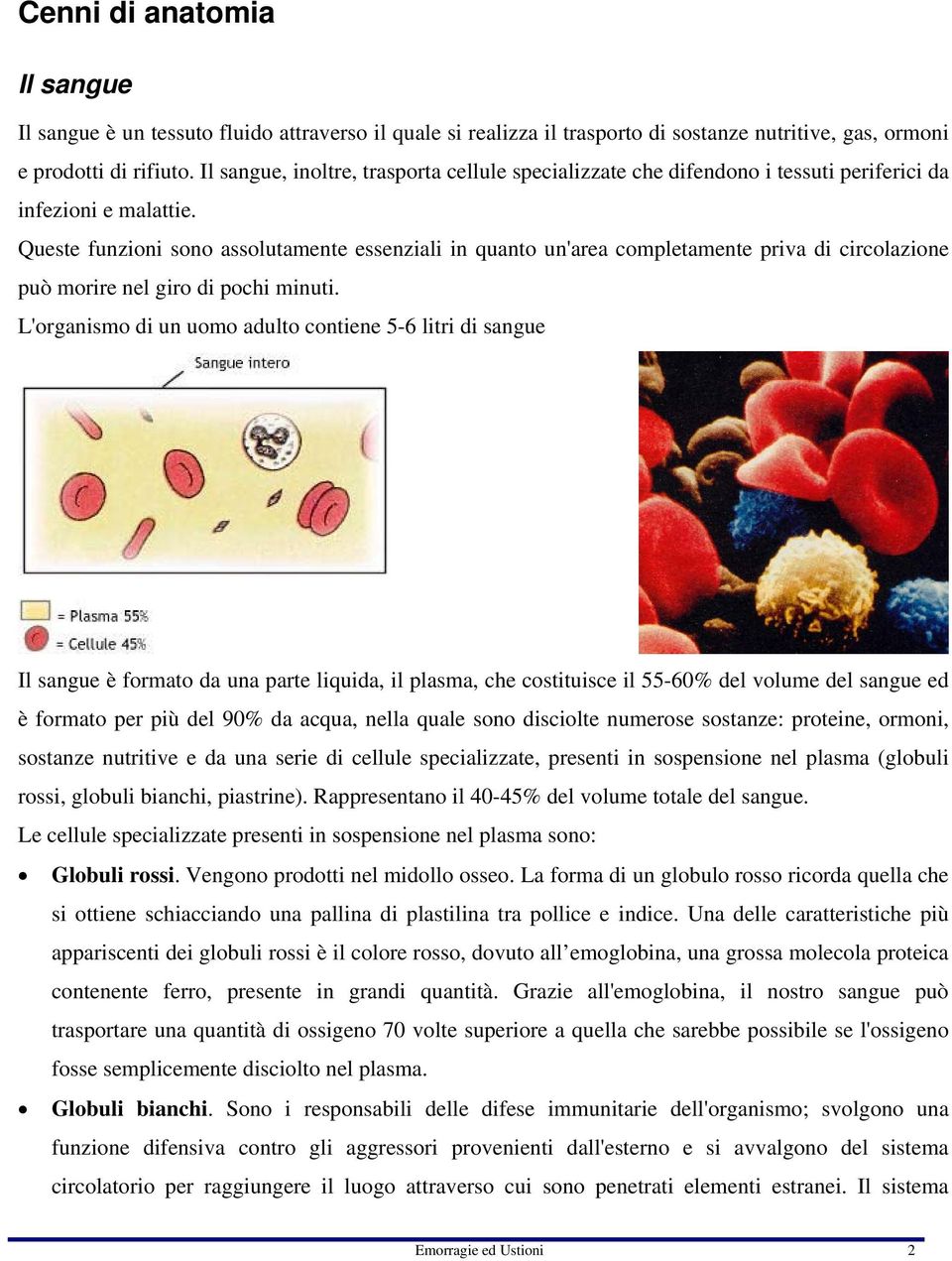 Queste funzioni sono assolutamente essenziali in quanto un'area completamente priva di circolazione può morire nel giro di pochi minuti.