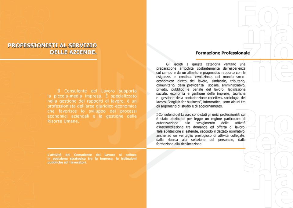 Formazione Professionale Gli iscritti a questa categoria vantano una preparazione arricchita costantemente dall esperienza sul campo e da un attento e pragmatico rapporto con le esigenze, in continua