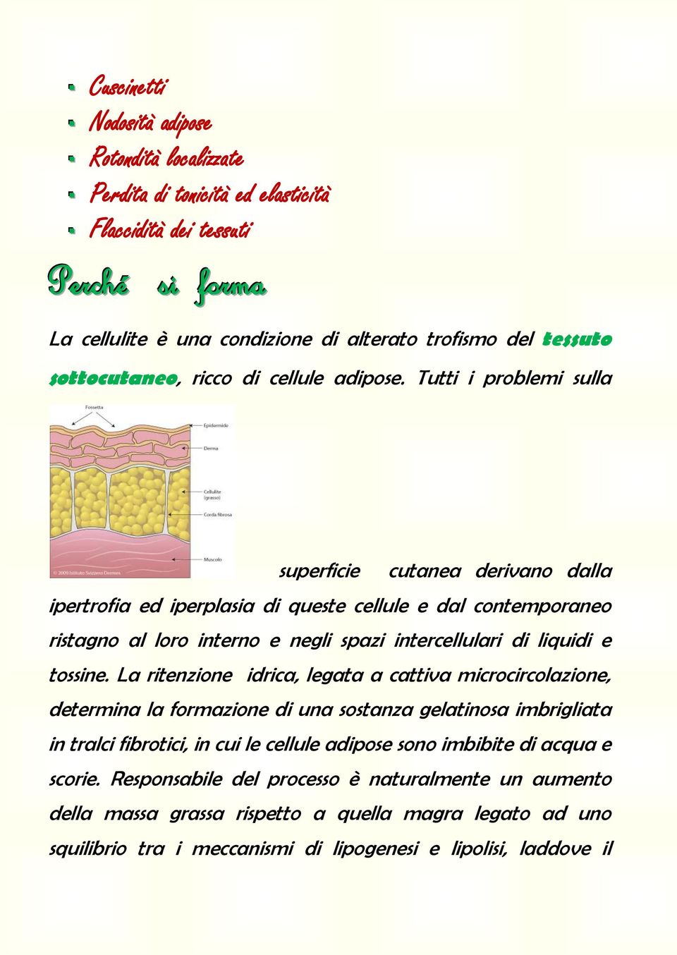 Tutti i problemi sulla superficie cutanea derivano dalla ipertrofia ed iperplasia di queste cellule e dal contemporaneo ristagno al loro interno e negli spazi intercellulari di liquidi e tossine.