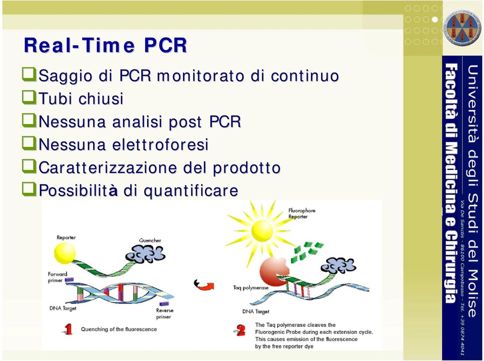 Nessuna analisi post PCR Nessuna