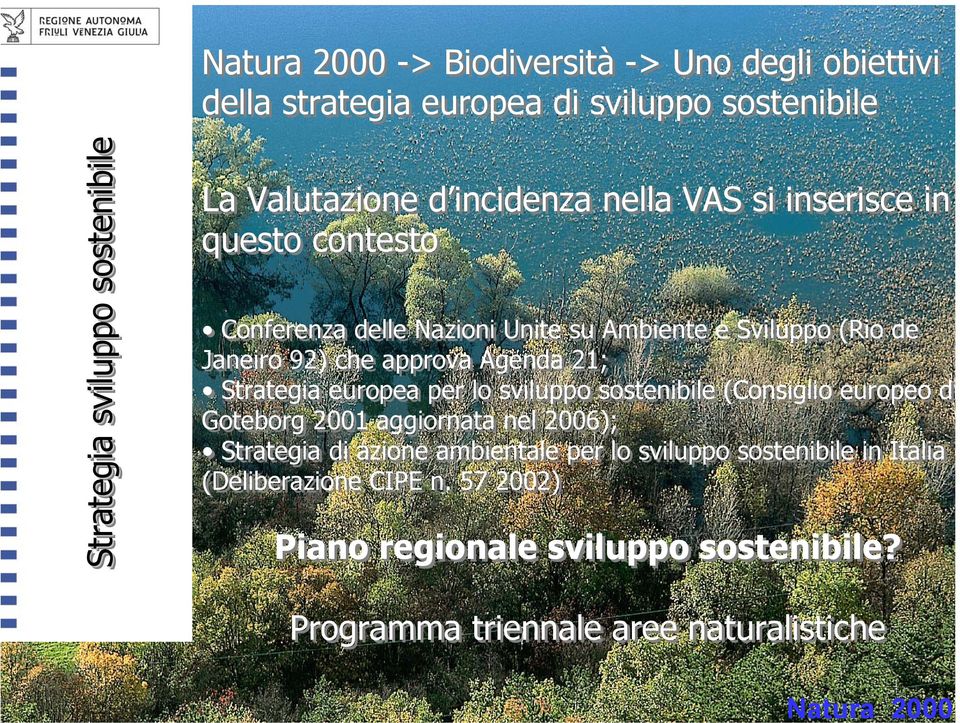 Agenda 21; Strategia europea per lo sviluppo sostenibile (Consiglio europeo did Goteborg 2001 aggiornata nel 2006); Strategia di azione